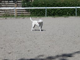 img_3171_web